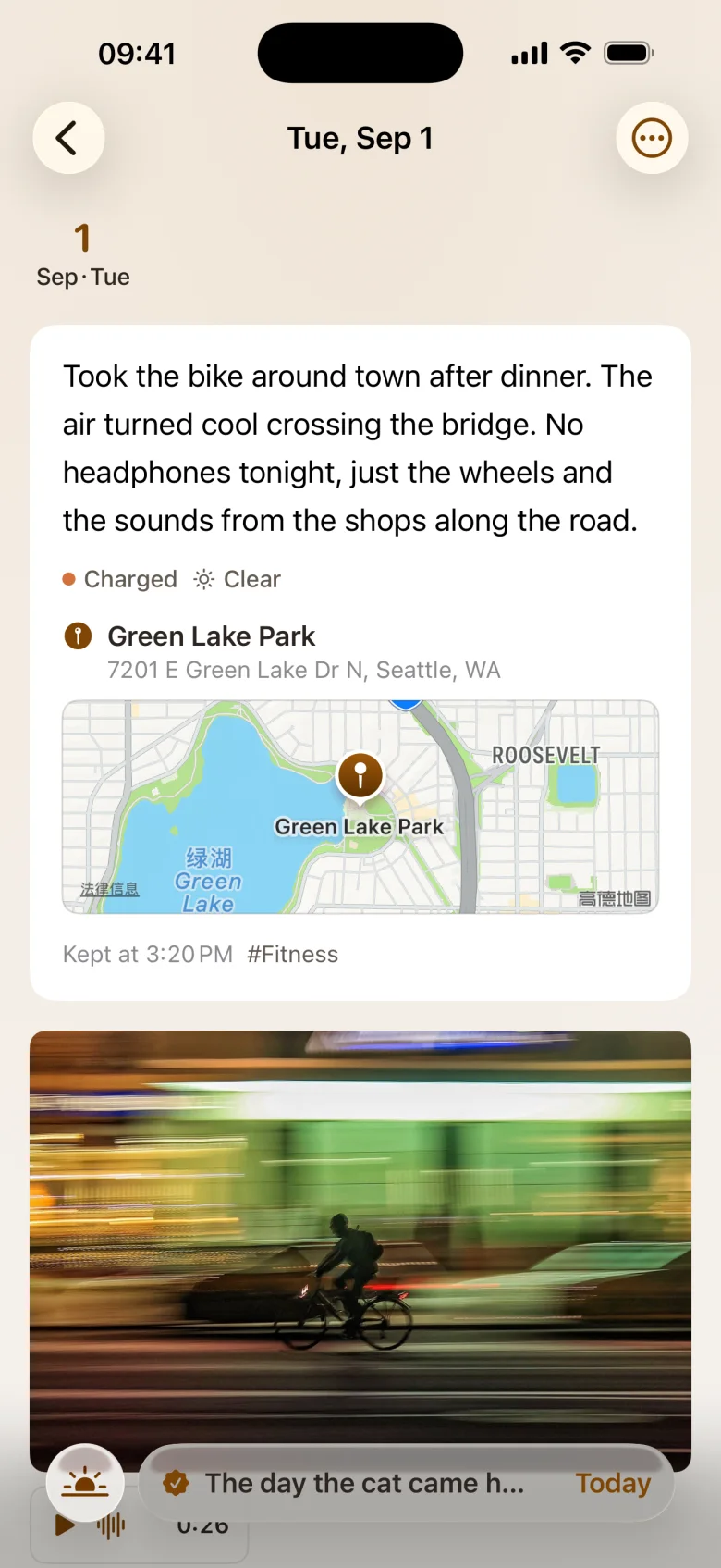 An entry in detail: text, photo, voice note, place and tags