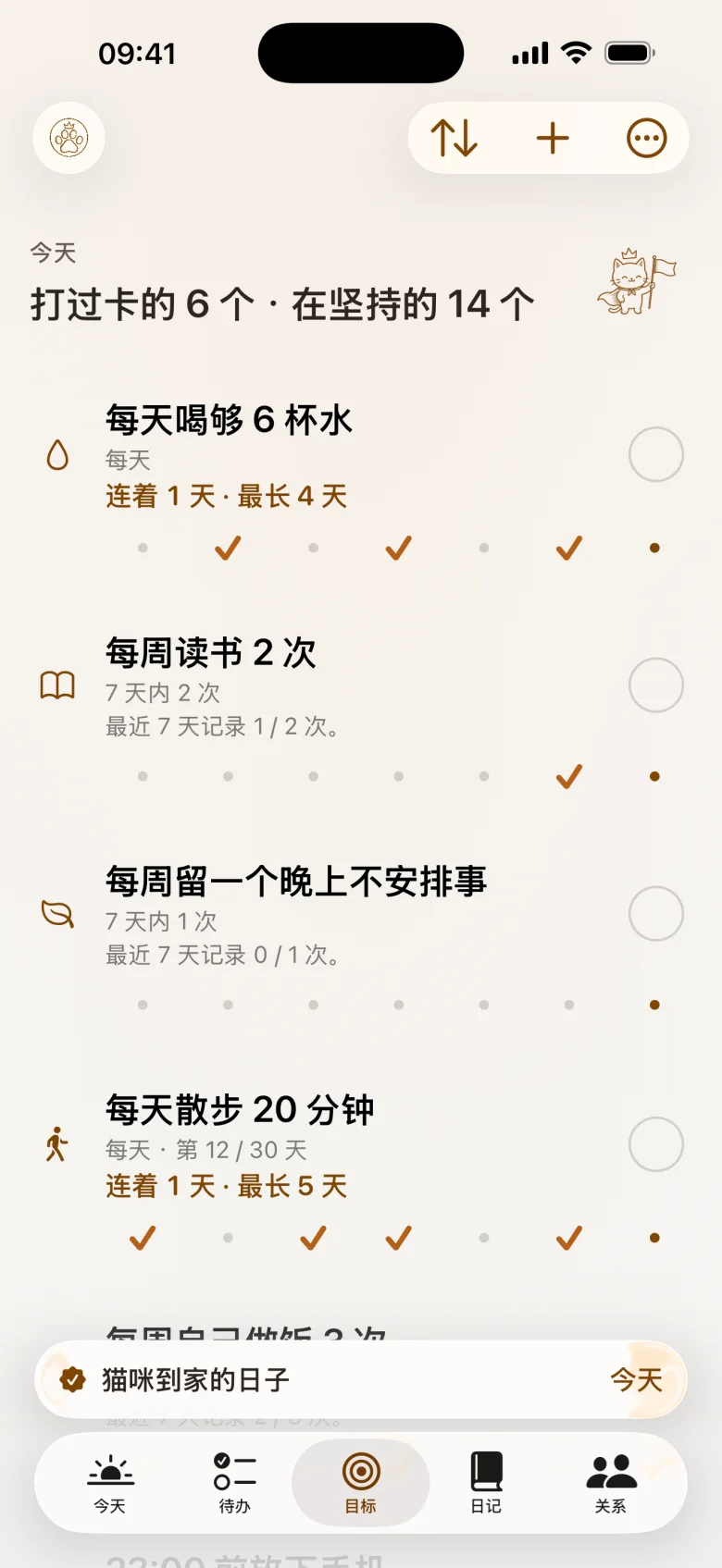 目标页顶部：今日进度和连续天数