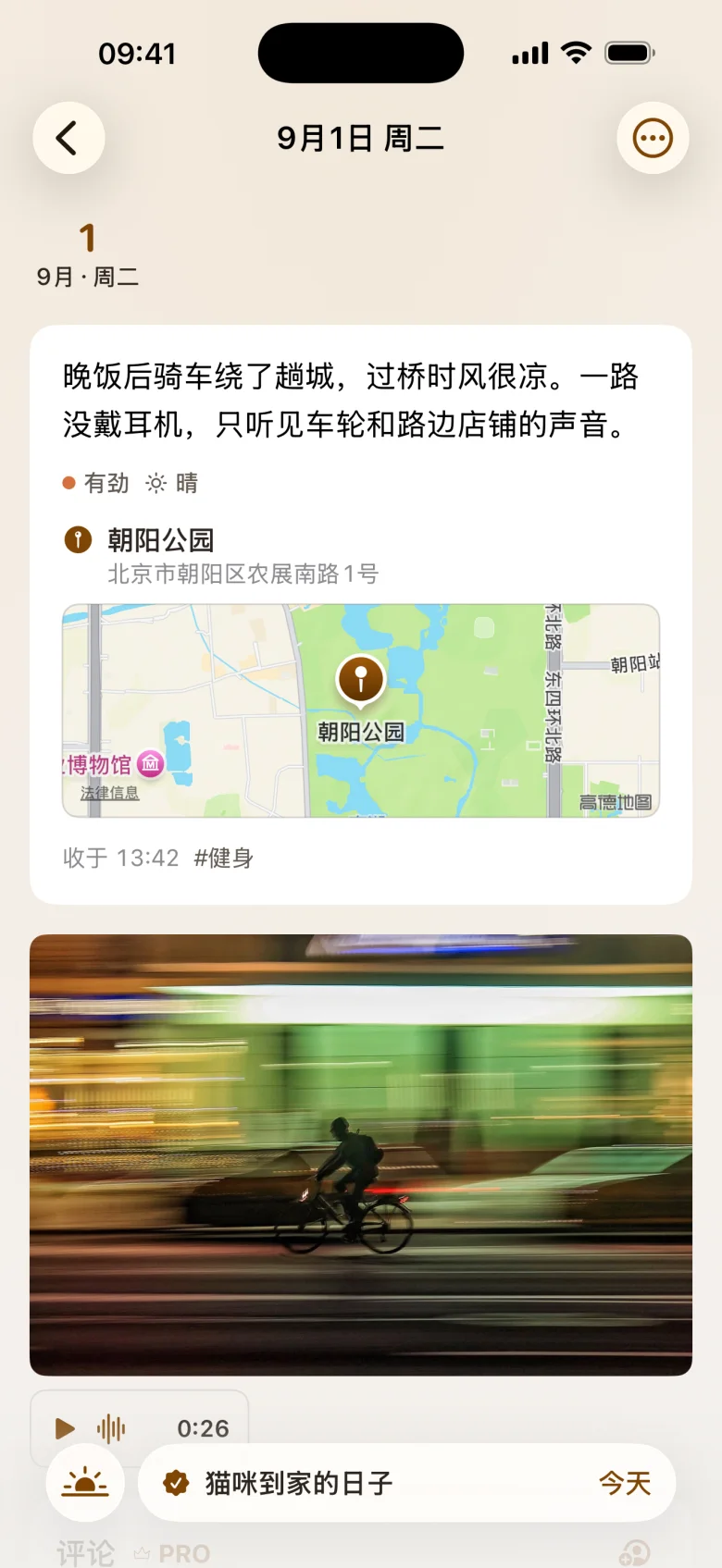 一条日记的详情页：正文、照片、语音、地点和标签